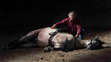 Le Celebre Dresseur De Chevaux Mario Luraschi Invite Dans Le Vimeu