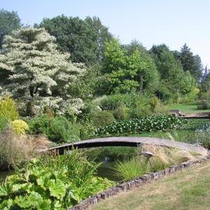 à Paillart Il Leur A Fallu 40 Ans Pour Créer Un Jardin Dexception