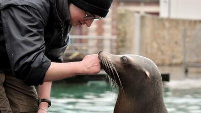 Une Ecole De Soigneurs Animaliers Va Ouvrir Tout Pres D Amiens