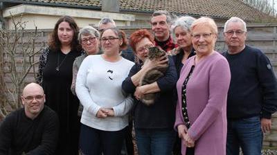 Une Nouvelle Association Pour Aider Les Chats Errants A Mers Les Bains Une Nouvelle Association Pour Aider Les Chats Errants A Mers Les Bains