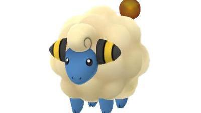Ils Ont Chasse Un Drole De Mouton A Amiens Ils Ont Chasse Un Drole De Mouton A Amiens