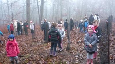 Petite forêt deviendra grande