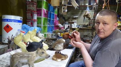 Vismes Au Val Regis Izarra N Empaille Pas Ilnaturalise